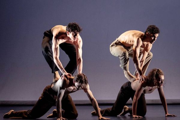 Duccio Tariello, Kristián Pokorný, Andrés Garcia Torres, Chiara Uderzo (Eden)